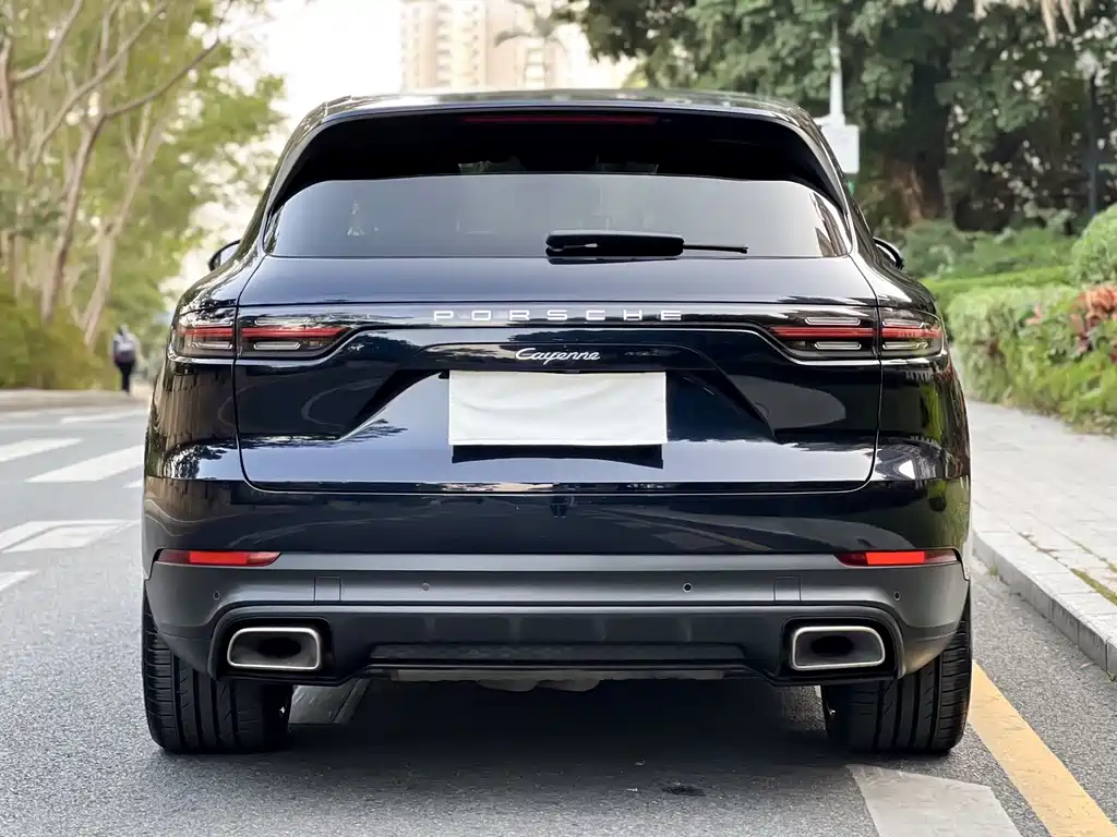 Porsche Cayenne 2021 — фото 13
