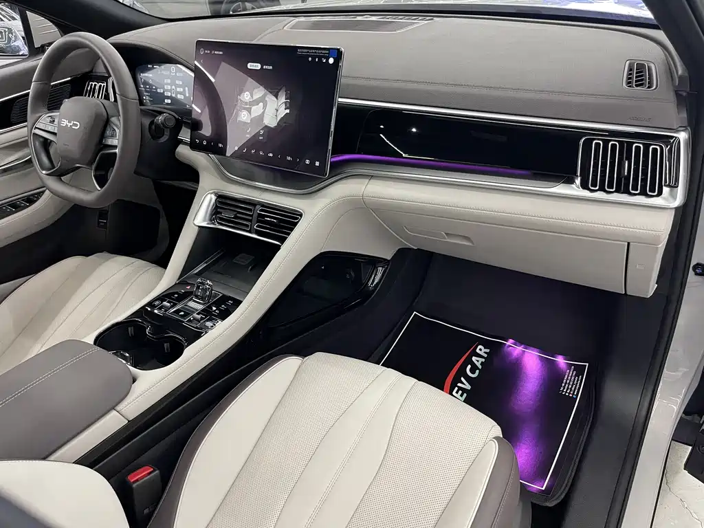 BYD PLUS New Energy 2025 — фото 10
