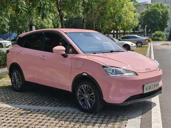 Neta V 2021