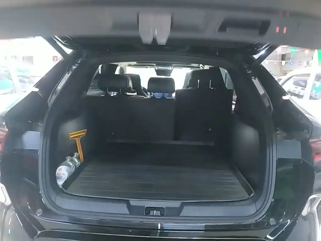 BYD PLUS New Energy 2023 — фото 19