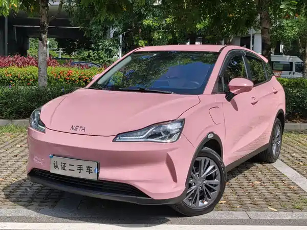 Neta V 2021