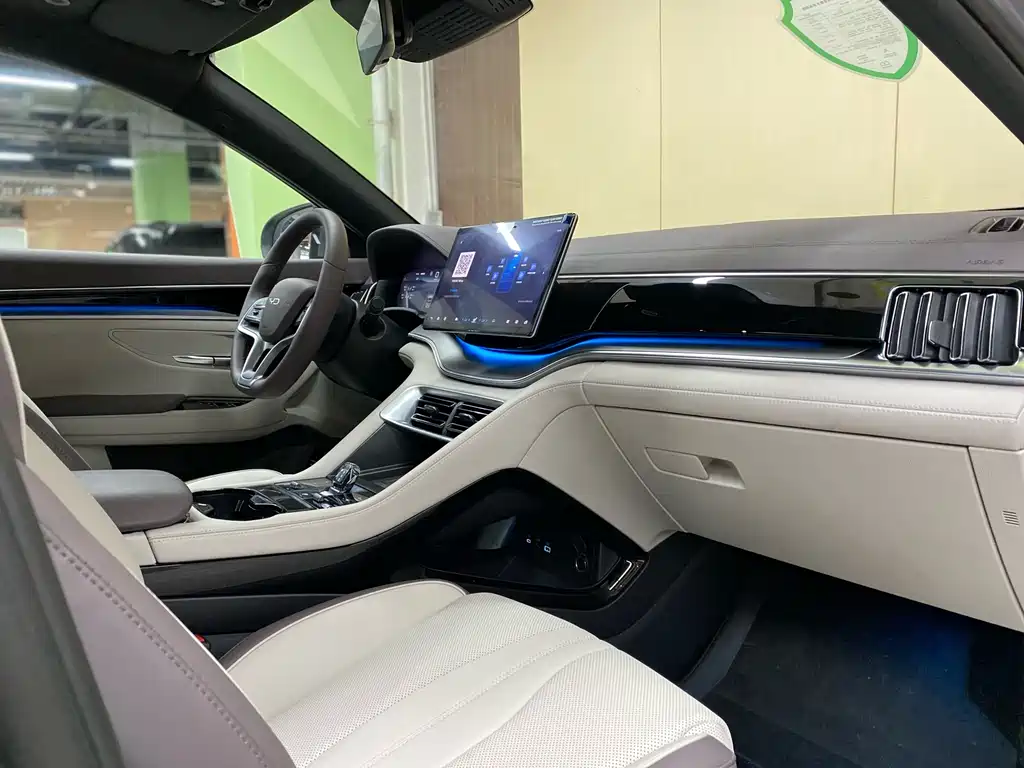 BYD PLUS New Energy 2024 — фото 10