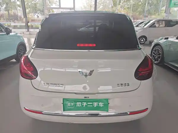 Wuling Bingo 2024