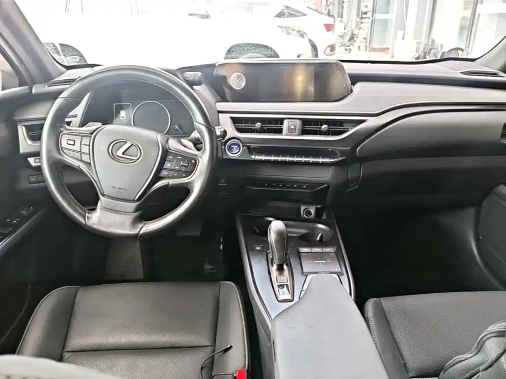 Lexus UX New Energy 2023 — фото 10