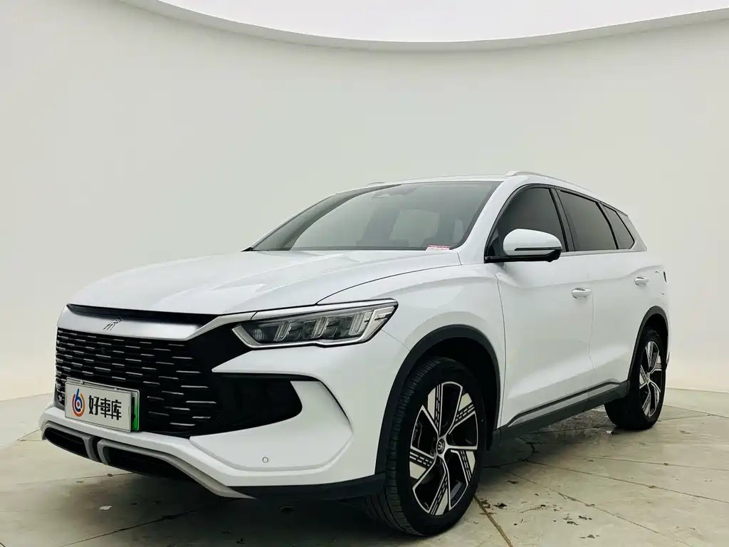 BYD Pro New Energy 2024 — фото 1