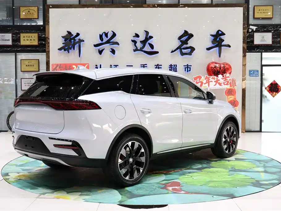 BYD Tang New Energy 2023 — фото 5