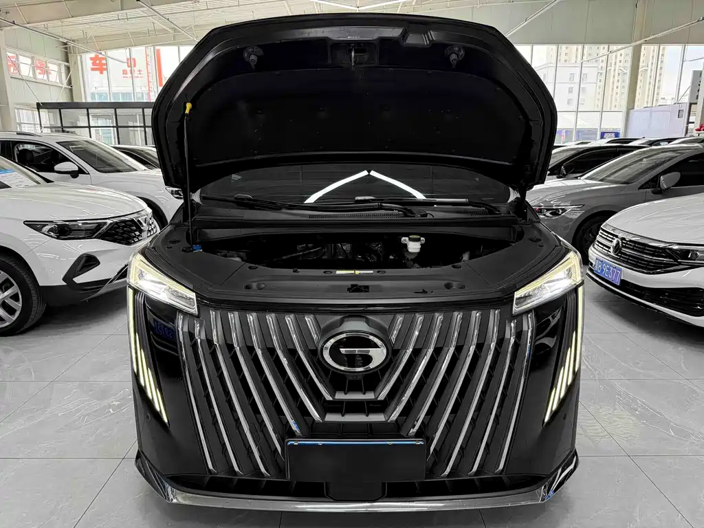 GAC Motor Trumpchi M8 2023 — фото 21