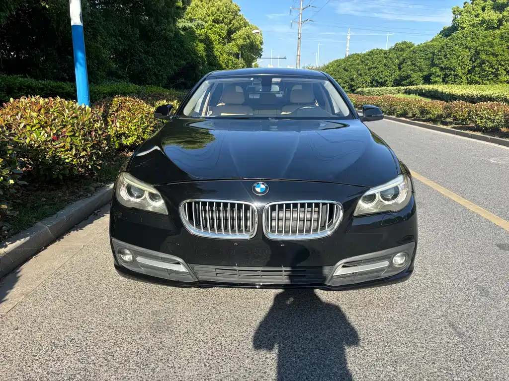 BMW 5 Series 2017 — фото 2