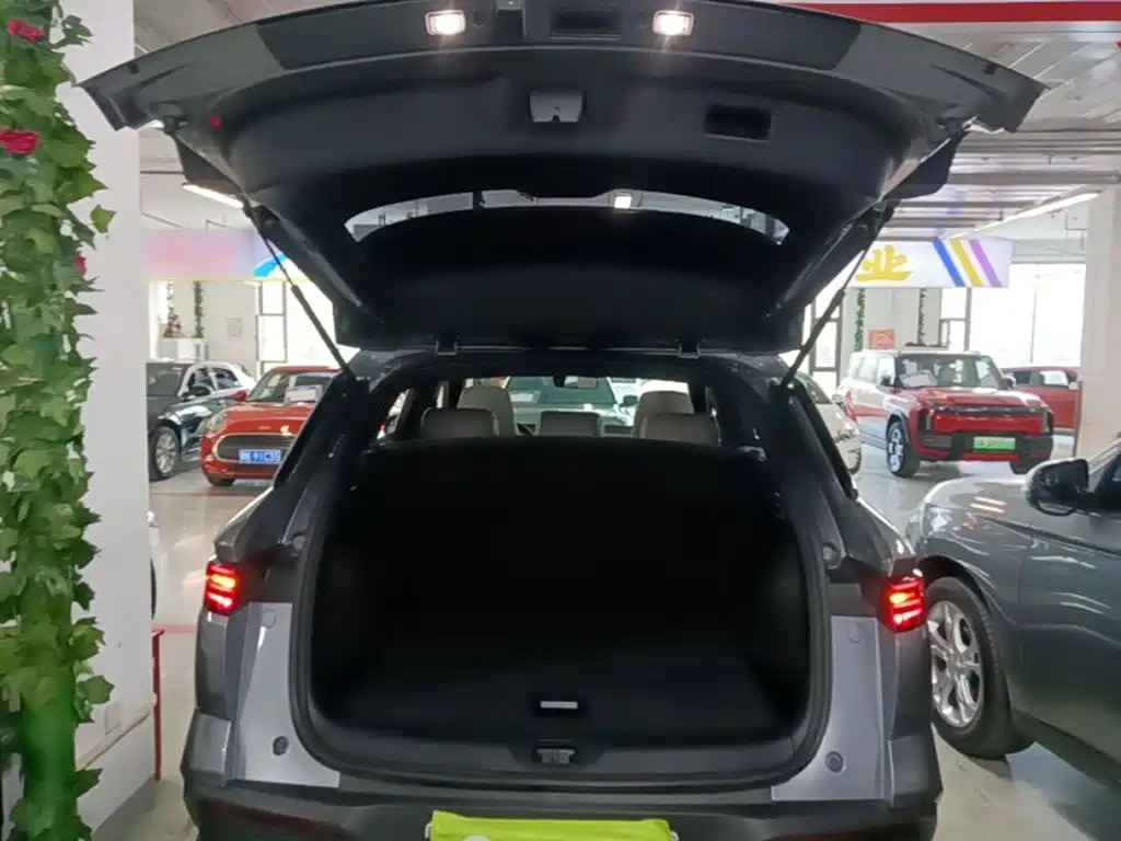 BYD Pro New Energy 2024 — фото 19