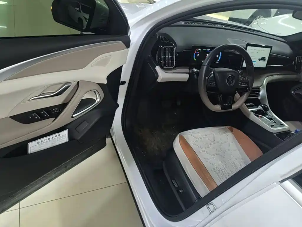 BYD Song Pro New Energy 2024 — фото 16