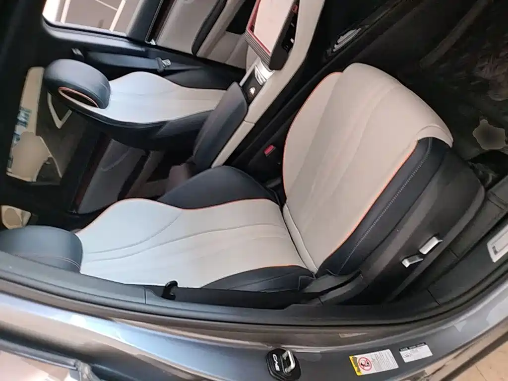 BYD PLUS New Energy 2023 — фото 25