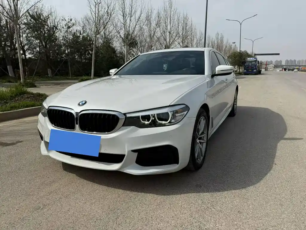 BMW 5 Series 2020 — фото 1