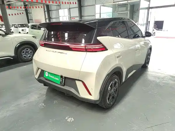 BYD Seagull 2024