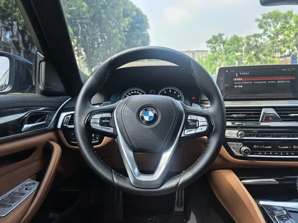 BMW 5 Series 2019 — фото 14