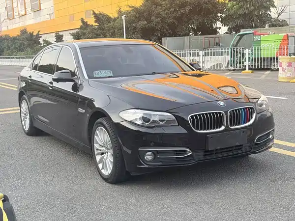 BMW 5 Series 2014