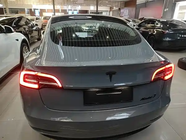 Tesla Model 3 2019