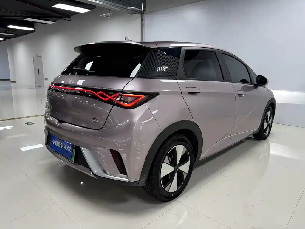 BYD Dolphin 2023 — фото 11