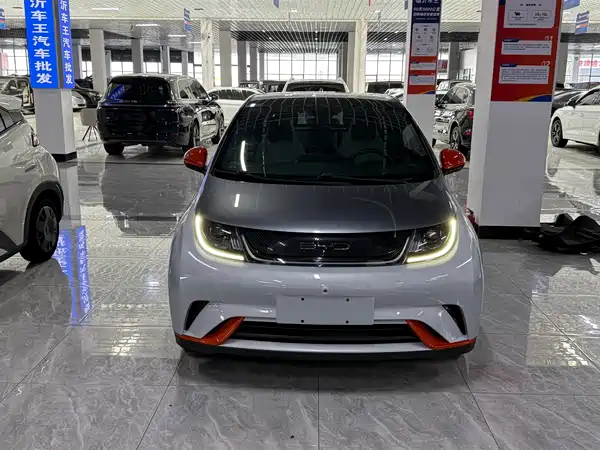 BYD Dolphin 2022