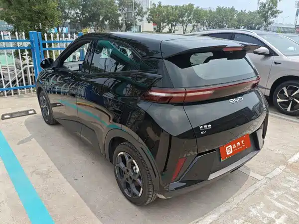 BYD Seagull 2025