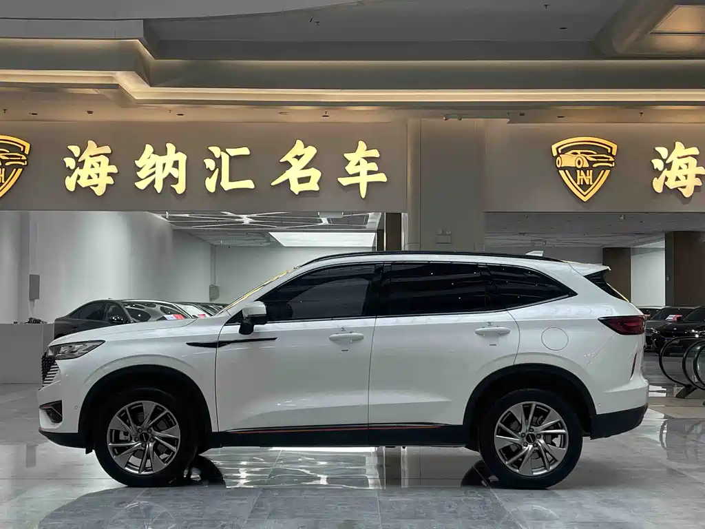 Haval H6 2023 — фото 2
