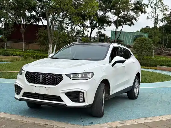 Wey VV5 2020