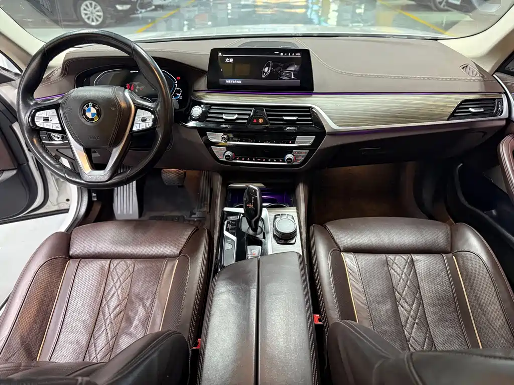 BMW 5 Series New Energy 2020 — фото 11
