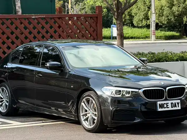 BMW 5 Series 2019