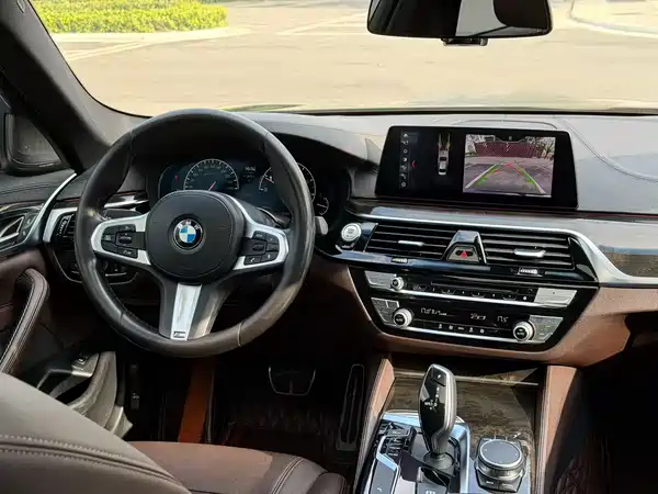 BMW 5 Series 2019