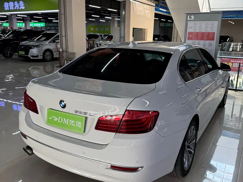 BMW 5 Series 2014 — фото 9