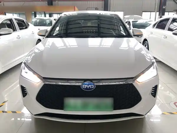 BYD e2 2020
