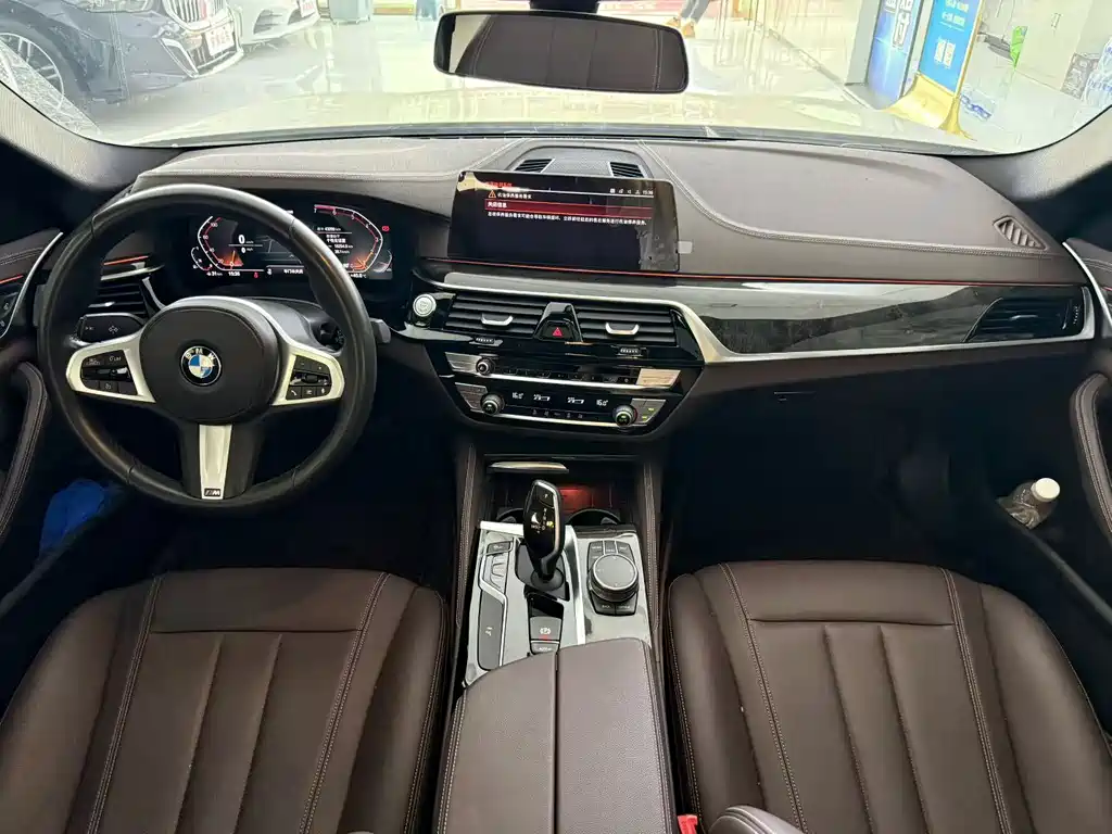 BMW 5 Series 2020 — фото 6