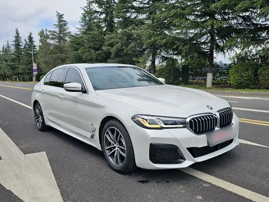 BMW 5 Series New Energy 2021 — фото 12