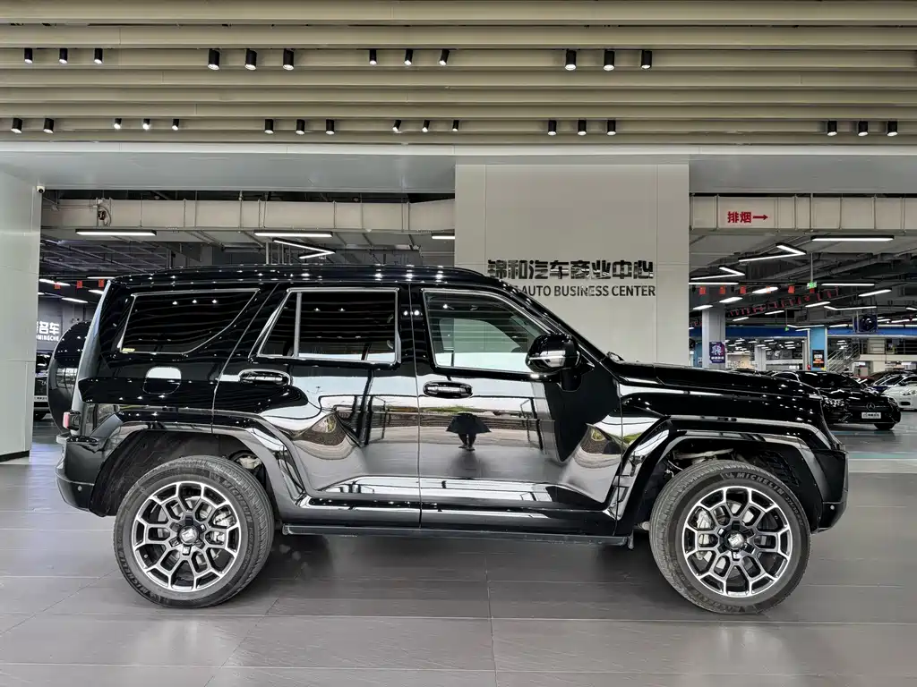Tank 700 New Energy 2024