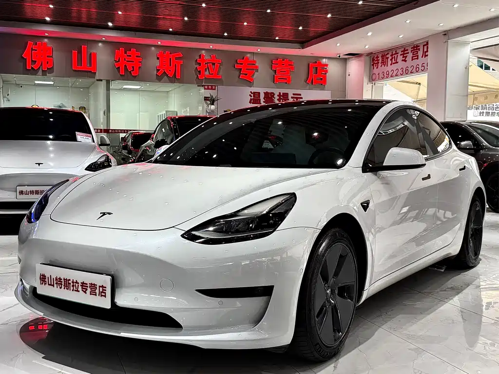 Tesla Model 3 2021 — фото 1