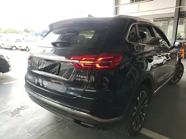 Hongqi HS5 2020