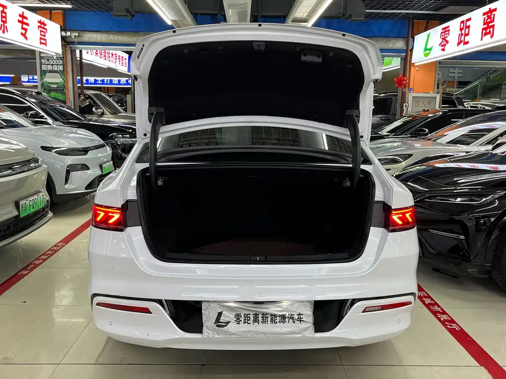 BYD Qin PLUS 2024 — фото 16