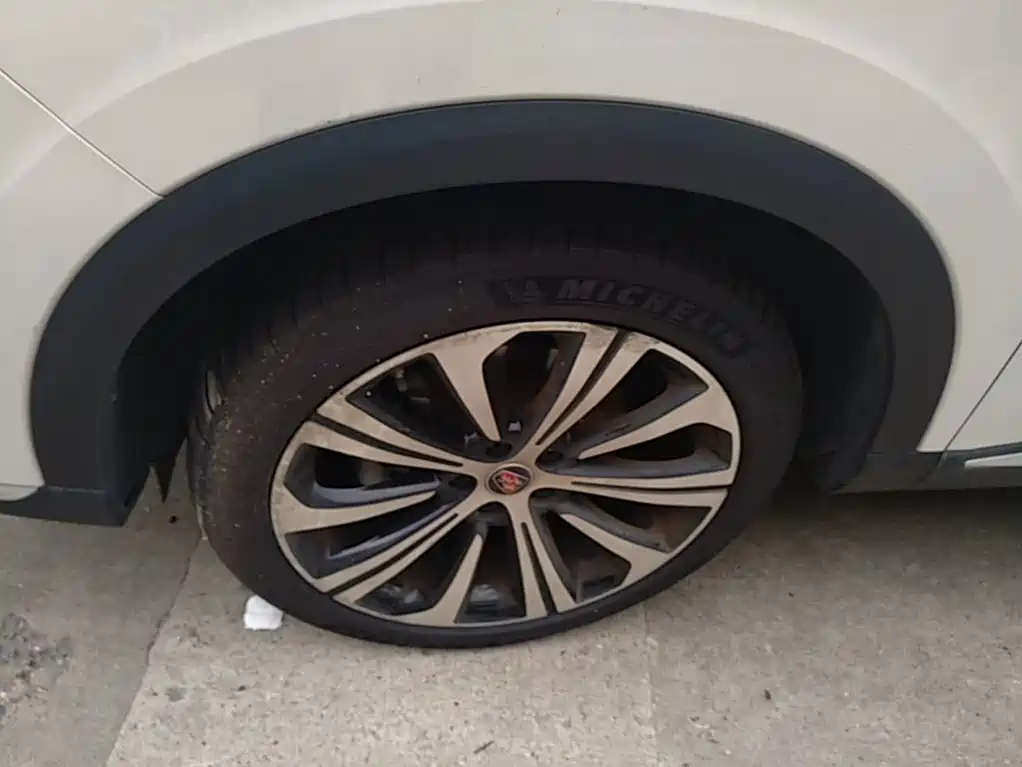Roewe RX5 eMAX 2020 — фото 23