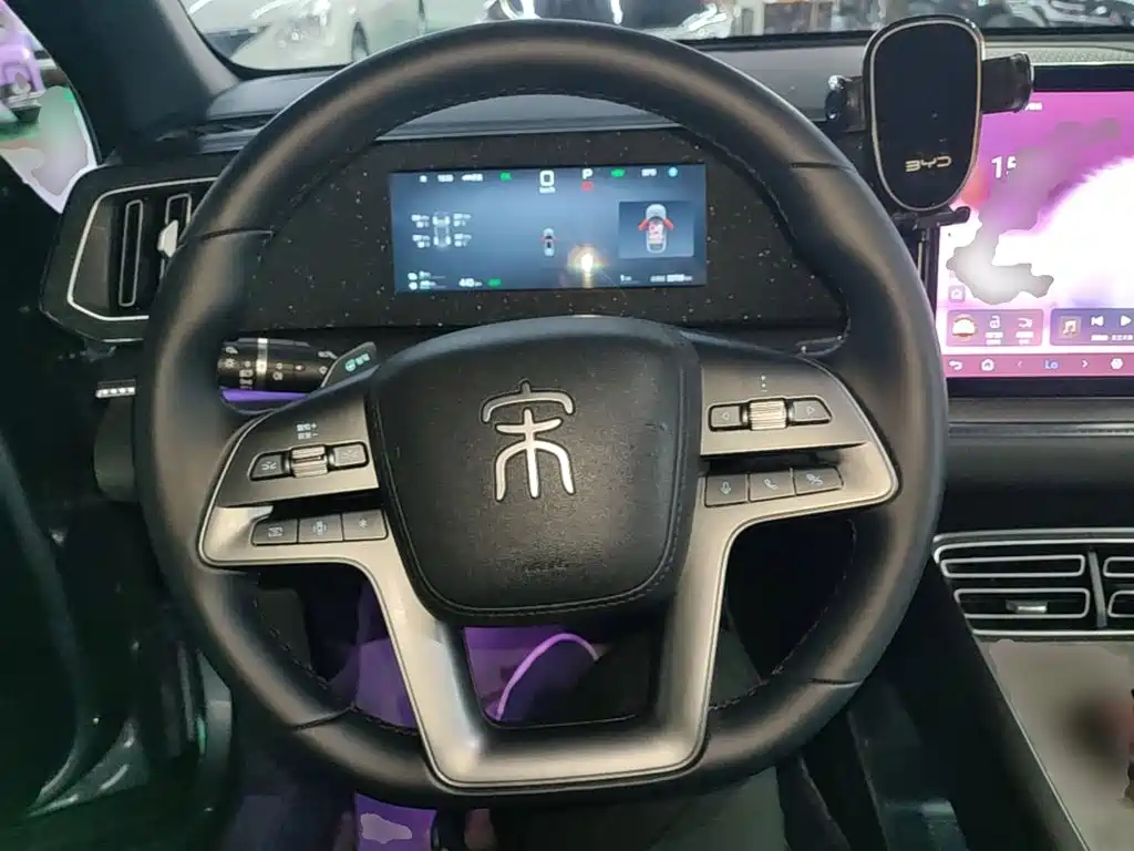 BYD Pro New Energy 2025 — фото 11