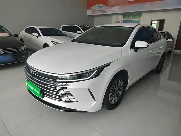 BYD Destroyer 05 2024