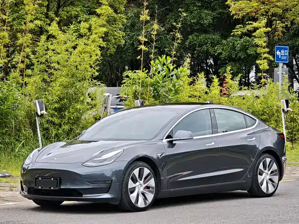 Tesla Model 3 2019