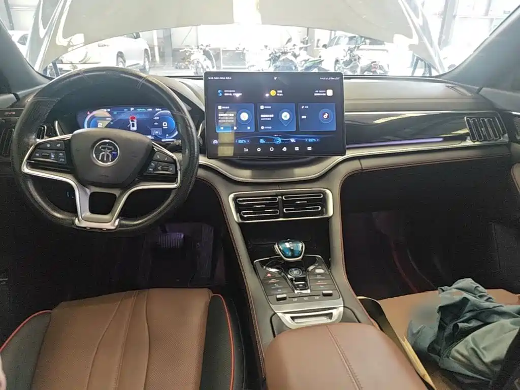 BYD PLUS New Energy 2022 — фото 10