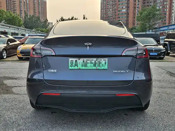 Tesla Model Y 2021