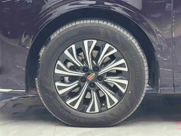 Hongqi HQ9 PHEV 2024