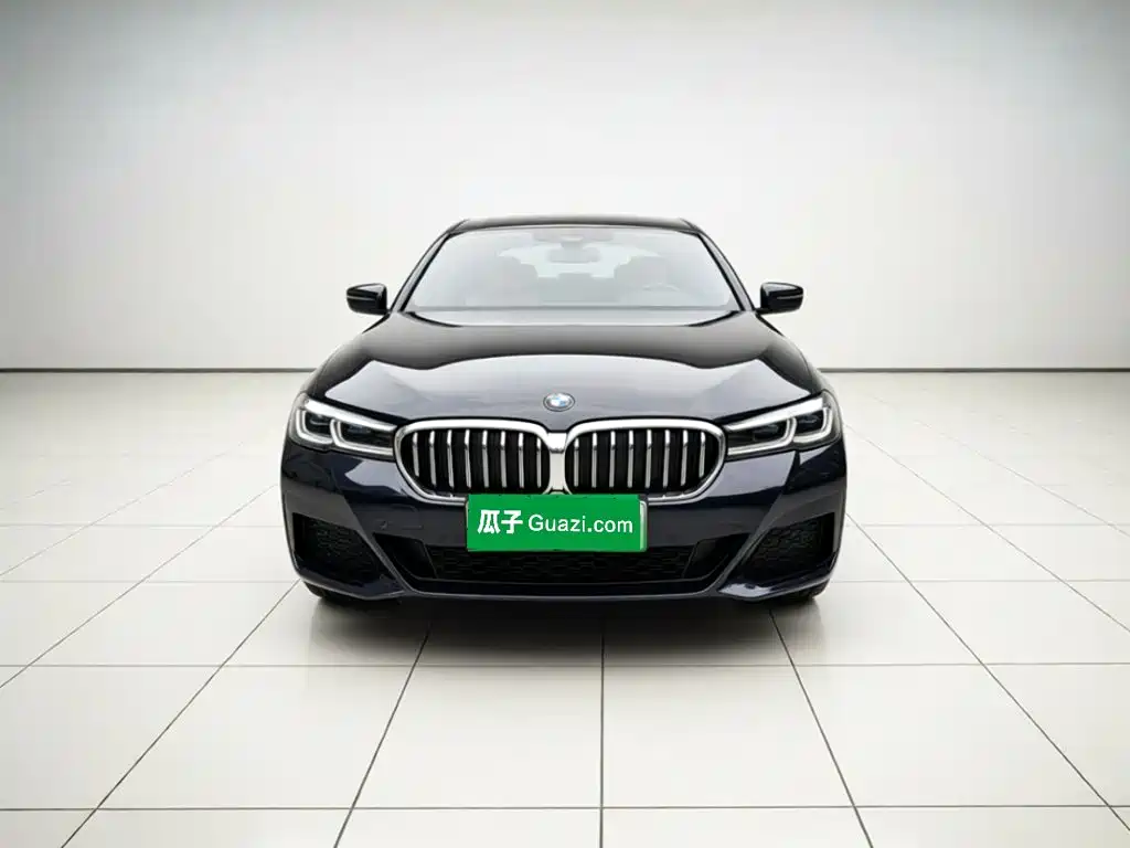 BMW 5 Series New Energy 2021 — фото 2