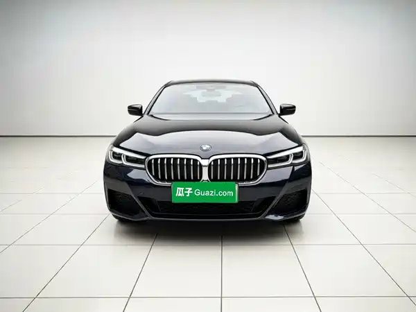 BMW 5 Series New Energy 2021