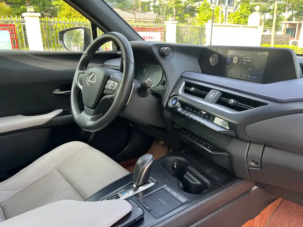 Lexus UX New Energy 2020 — фото 36