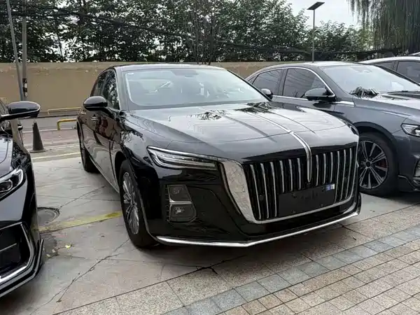 Hongqi H5 2024
