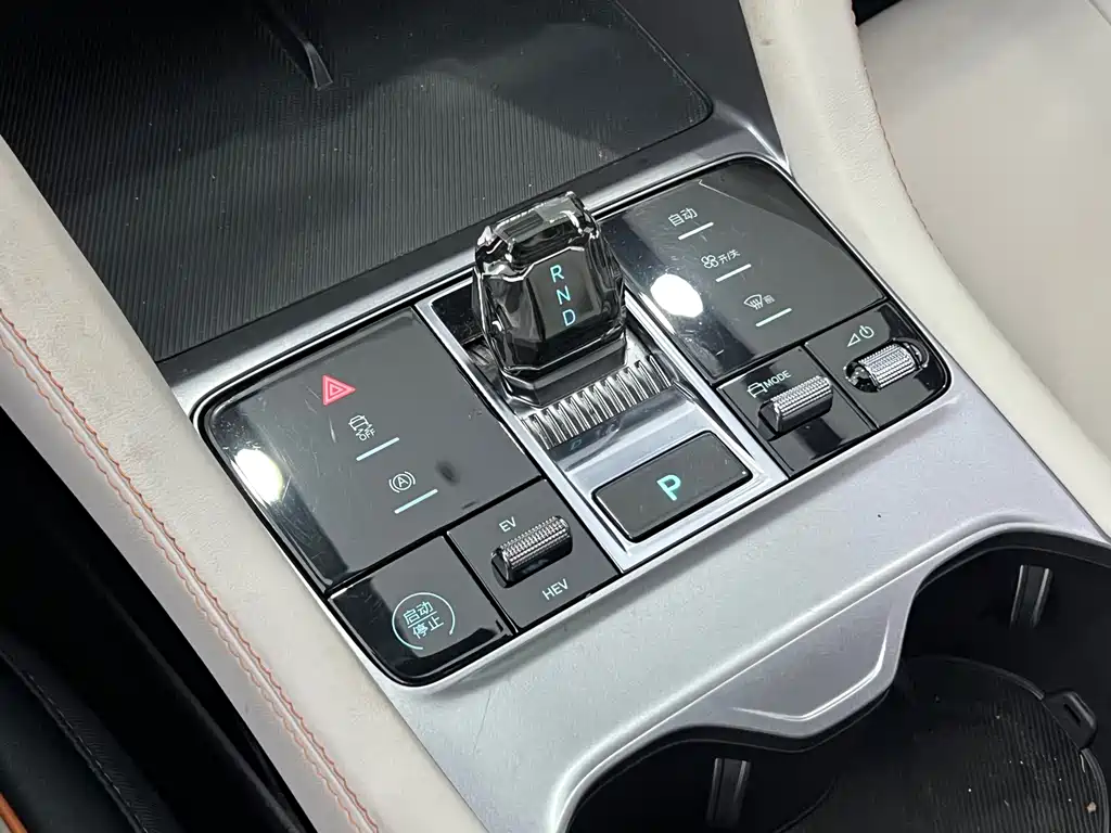 BYD Song PLUS New Energy 2024 — фото 19
