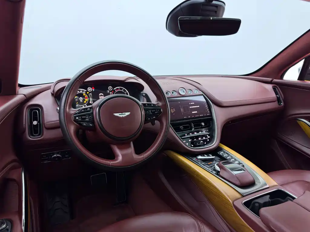 Aston Martin DBX 2020 — фото 20