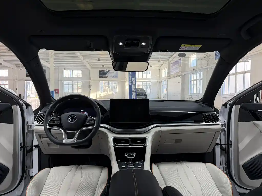BYD PLUS New Energy 2022 — фото 10